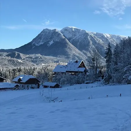 Kaiserblick Goisern 公寓 *