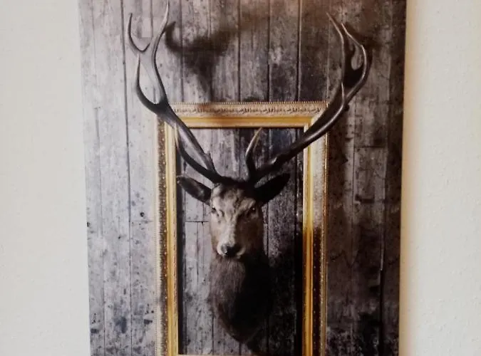 Апартаменты Kaiserblick Goisern *